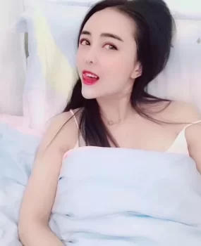 新北白洁